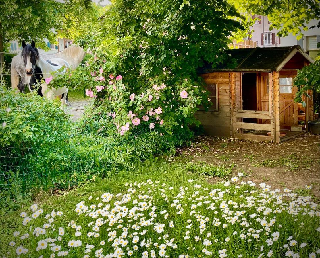 Appartamento Rohrachhof Treuchtlingen Esterno foto